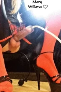 18297962
