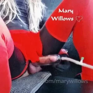 marywillows Onlyfans leaked video 4911922 on Hotleaks.tv