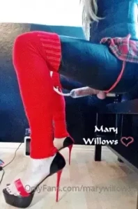 marywillows Onlyfans leaked video 4912020 on Hotleaks.tv