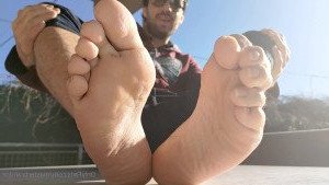 4252316