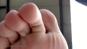4252902