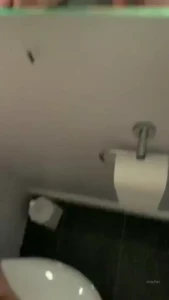 18297544