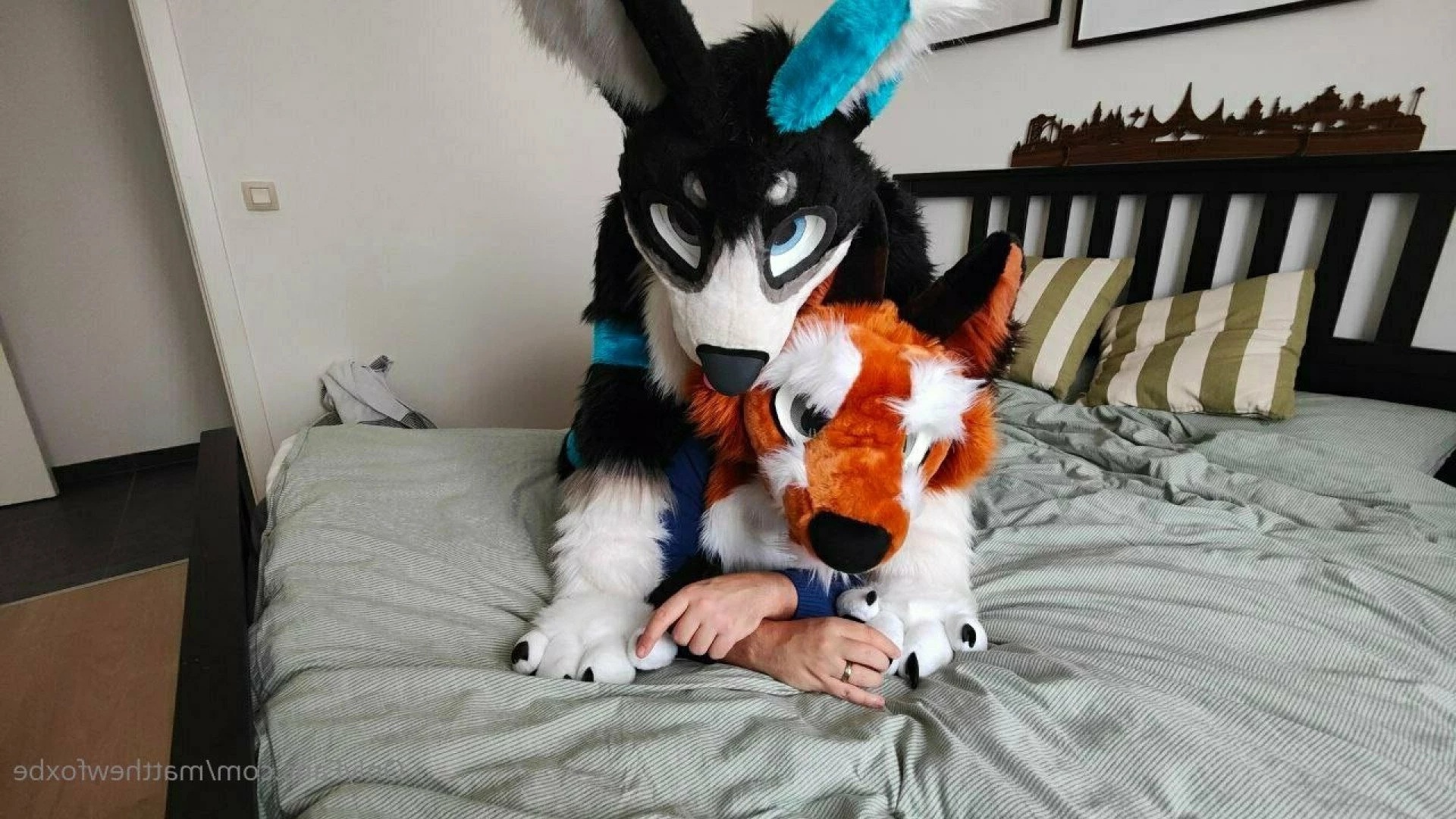 Matthew The Fox [ matthewfoxbe ] Onlyfans leaked photo 3354744 on Hotleaks.tv