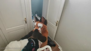 Matthew The Fox