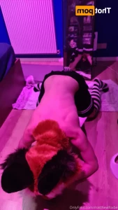 11991555