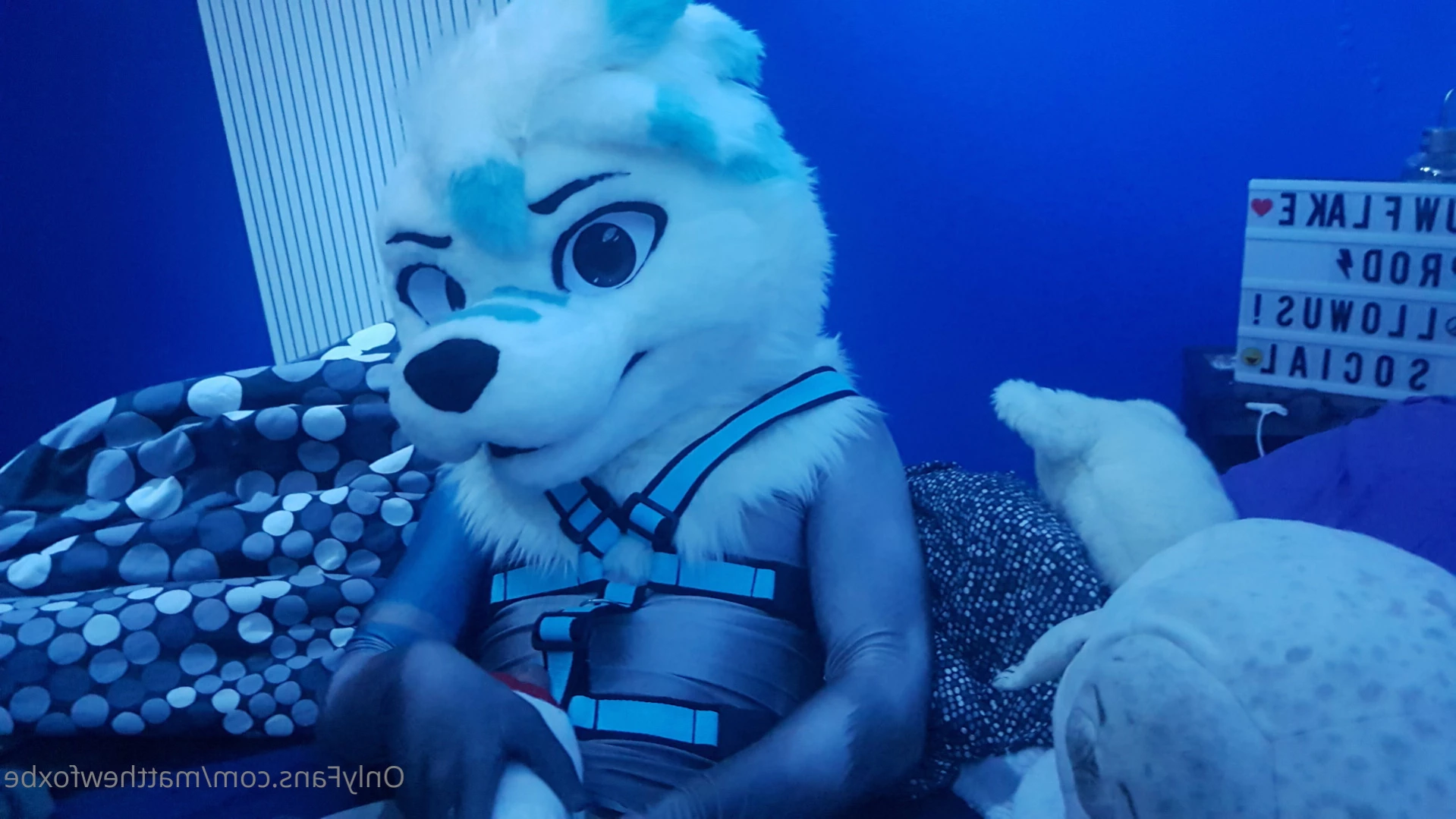 Matthew The Fox [ matthewfoxbe ] Onlyfans leaked photo 12206781 on Hotleaks.tv