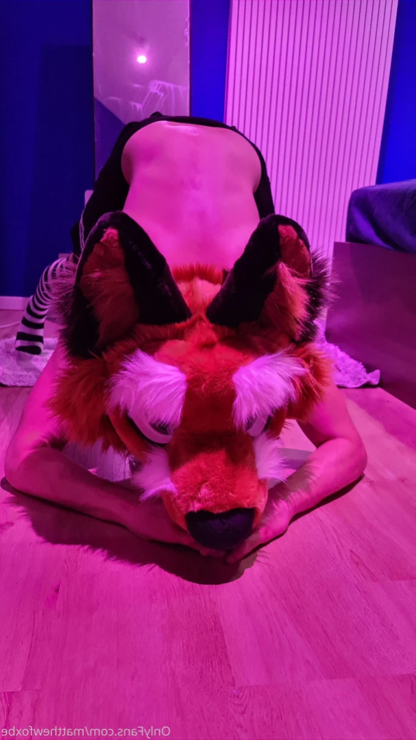 Matthew The Fox [ matthewfoxbe ] Onlyfans leaked photo 13176131 on Hotleaks.tv