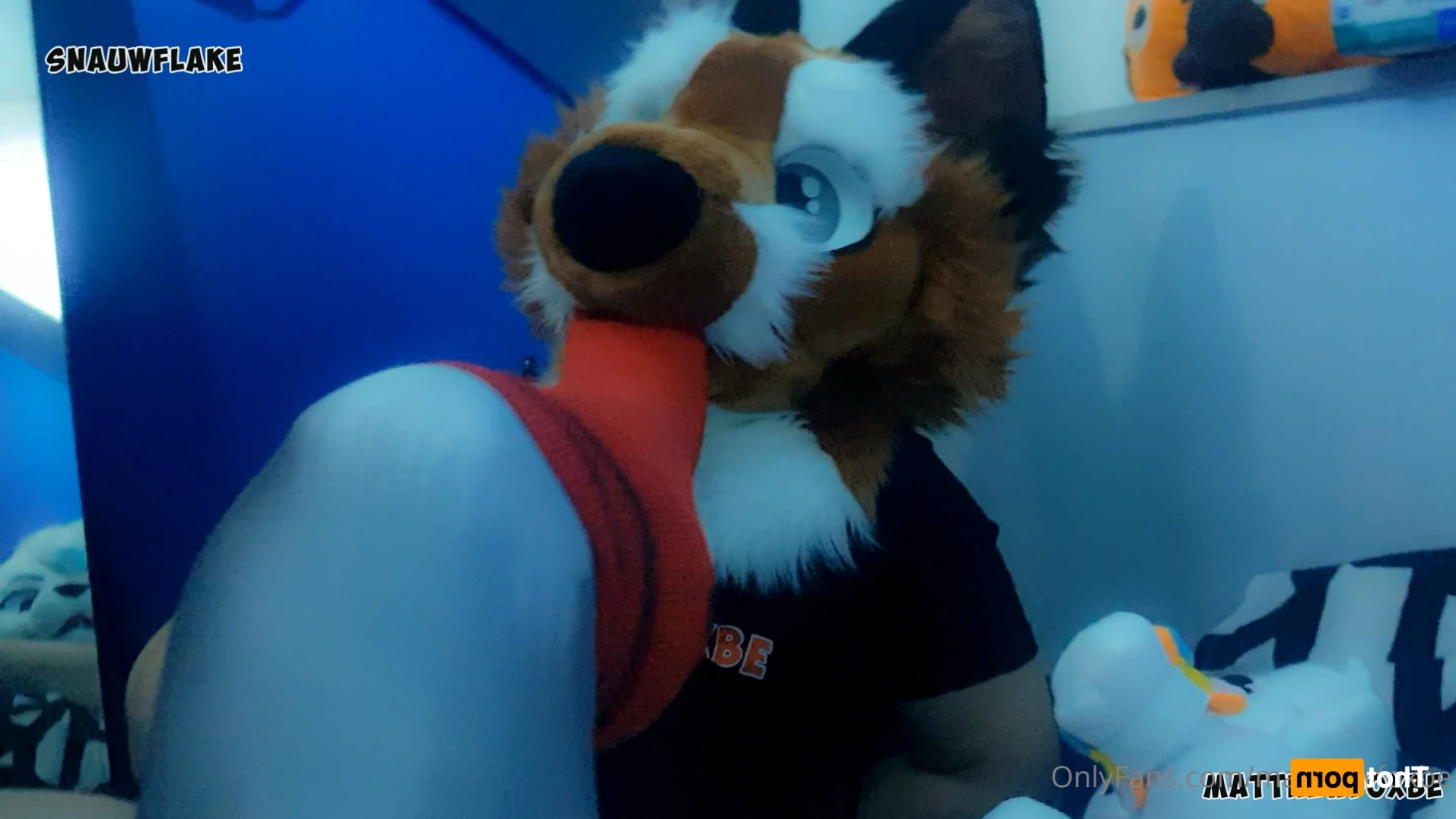Matthew The Fox [ matthewfoxbe ] Onlyfans leaked photo 13176187 on Hotleaks.tv