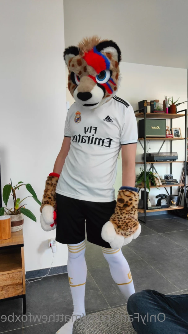 Matthew The Fox [ matthewfoxbe ] Onlyfans leaked photo 15299776 on Hotleaks.tv