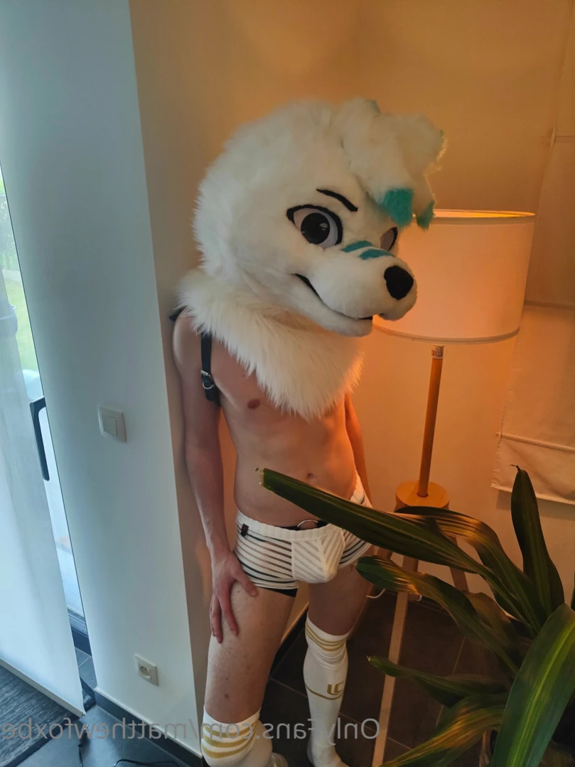 Matthew The Fox [ matthewfoxbe ] Onlyfans leaked photo 15483160 on Hotleaks.tv