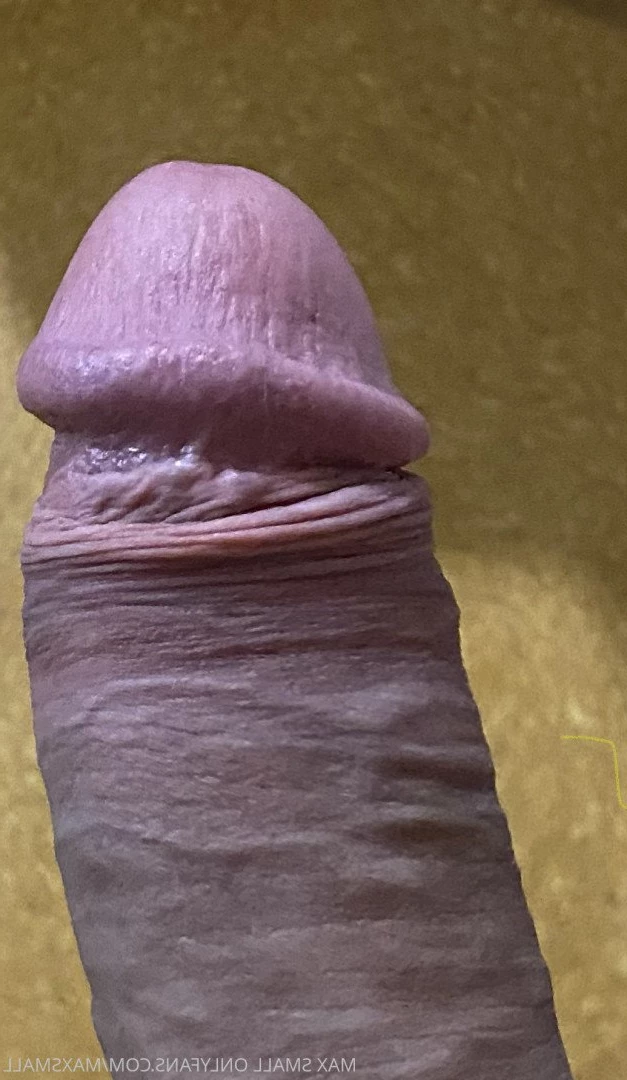 Max Small [ maxsmall ] Onlyfans leaked photo 3086098 on Hotleaks.tv
