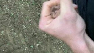 Max Small [ maxsmall ] Onlyfans leaked video 4262579 on Hotleaks.tv