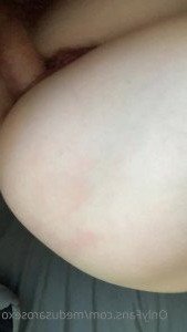 4273482