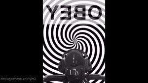 4274544