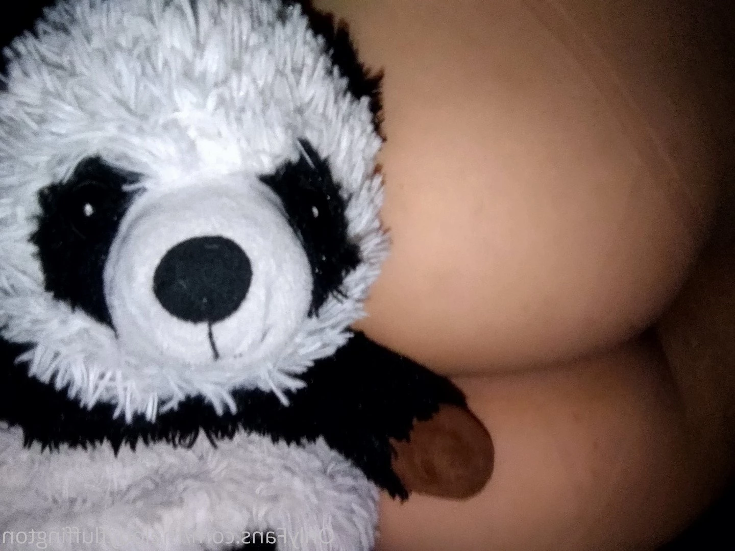 melodyfluffington Onlyfans leaked photo 2930228 on Hotleaks.tv