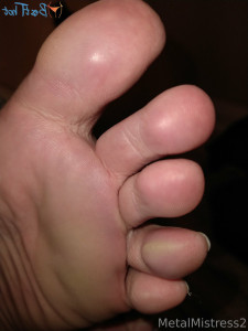16633419