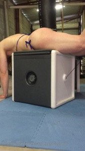 Michelle muscle worship FREE [ michellexm ] Onlyfans leaked video 4327207 on Hotleaks.tv