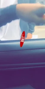 18295445