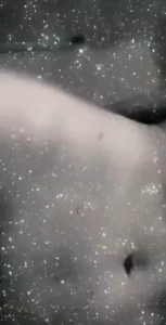 18295460
