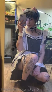 13651276