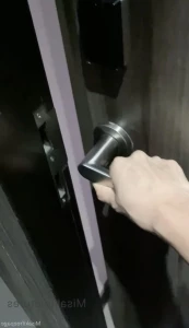 2961597