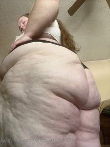 3003365