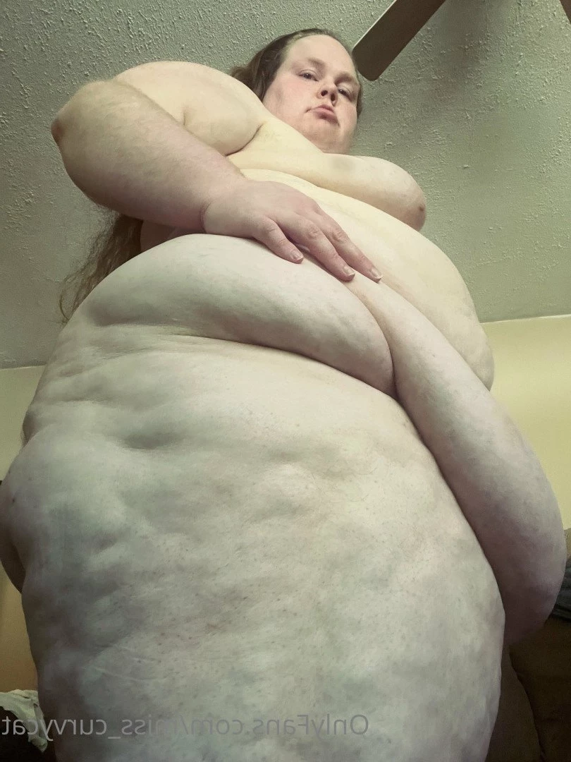 Miss Curvycat [ miss_curvycat ] Onlyfans leaked photo 3003490 on Hotleaks.tv