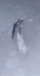 2960715