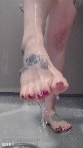 4364155