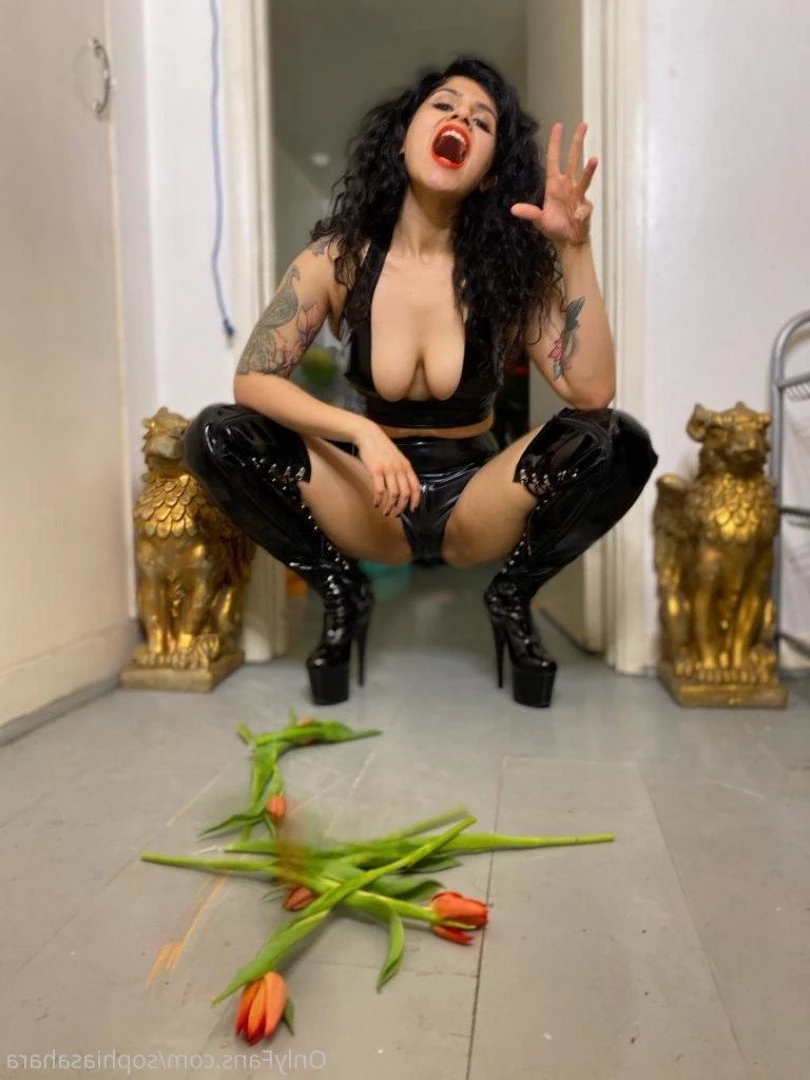 Mistress Sophia Sahara | Dominatrix [ mistresssophiasahara ] Onlyfans leaked photo 2924115 on Hotleaks.tv