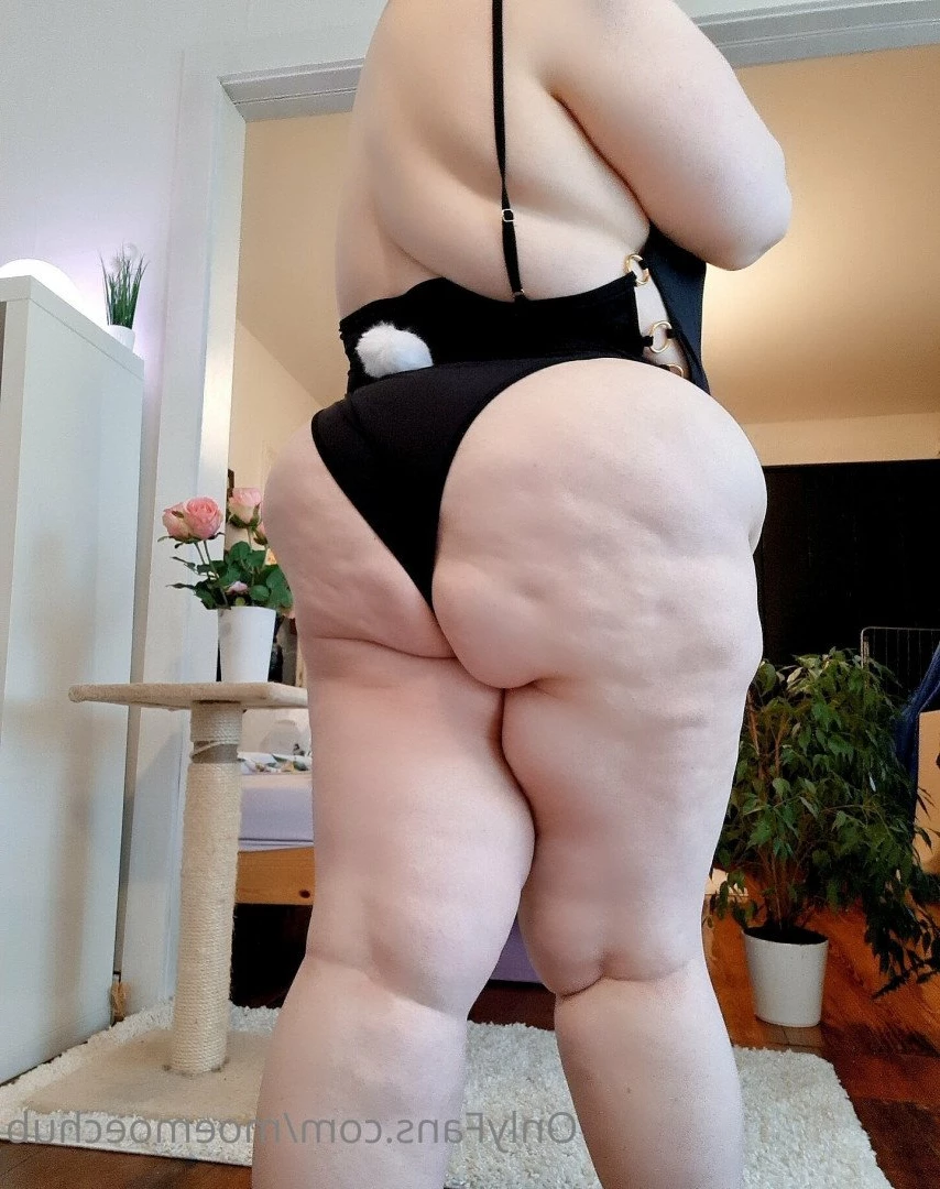 moemoechub Onlyfans leaked photo 3045727 on Hotleaks.tv