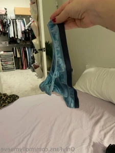 15561417