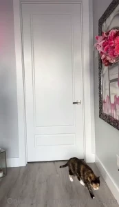 Dara (Moneybirdette) [ moneybirdette ] Onlyfans leaked video 15114989 on Hotleaks.tv