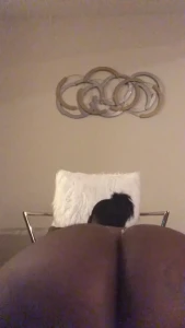 💥DAMN💥 [ msdamn ] Onlyfans leaked video 8887354 on Hotleaks.tv