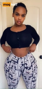 16238282
