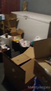 15702478