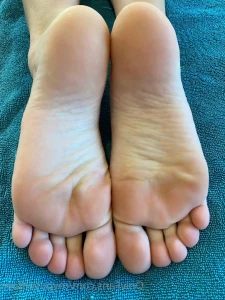 13065307
