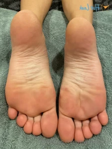13065398
