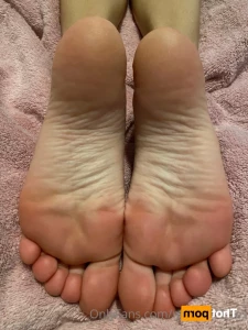 15333146