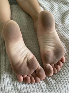 15453178