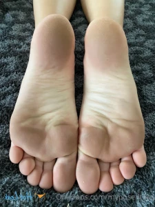 16034557