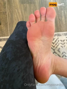 16277269