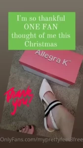 18294295