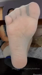 18294310