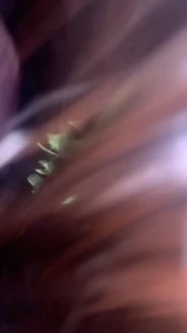 Edwina Isaacs [ edwinacarlaisaac ] Onlyfans leaked video 1377153 on Hotleaks.tv