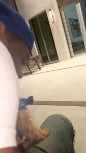 Edwina Isaacs [ edwinacarlaisaac ] Onlyfans leaked video 1377414 on Hotleaks.tv