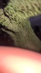 Edwina Isaacs [ edwinacarlaisaac ] Onlyfans leaked video 1377446 on Hotleaks.tv