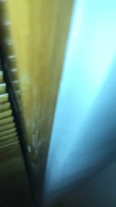 Edwina Isaacs [ edwinacarlaisaac ] Onlyfans leaked video 1377448 on Hotleaks.tv