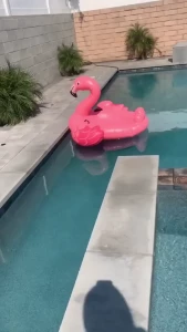 Edwina Isaacs [ edwinacarlaisaac ] Onlyfans leaked video 1377487 on Hotleaks.tv