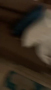 Edwina Isaacs [ edwinacarlaisaac ] Onlyfans leaked video 1377807 on Hotleaks.tv